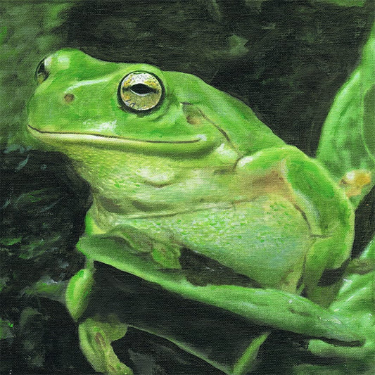 Green Frog
