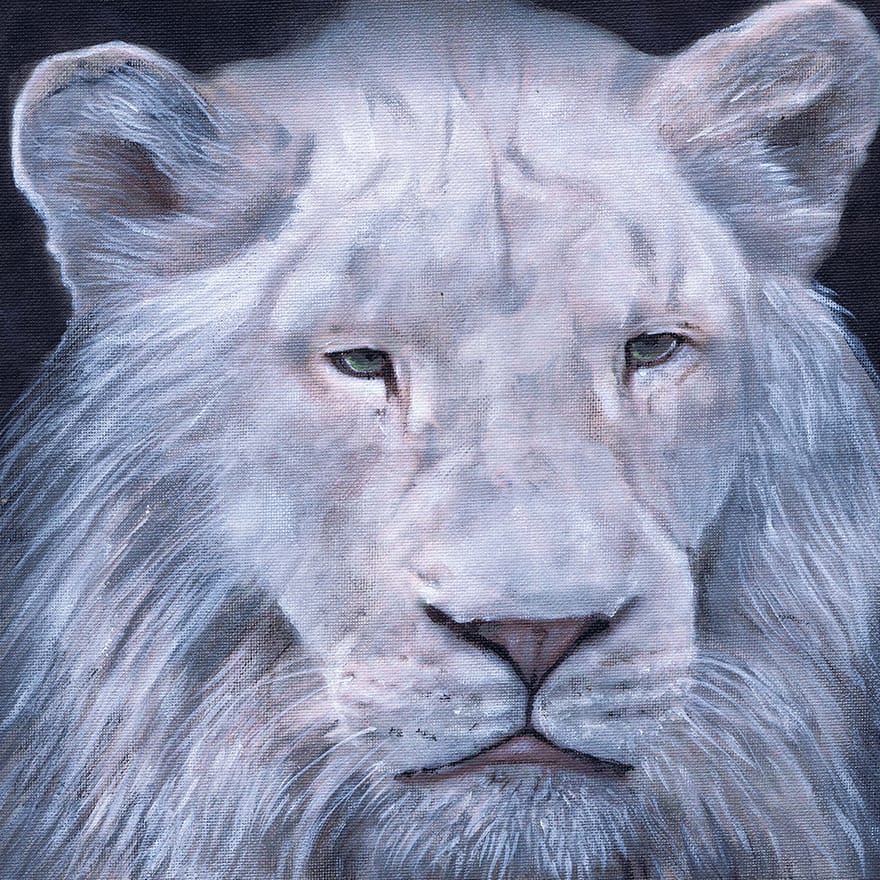 White Lion