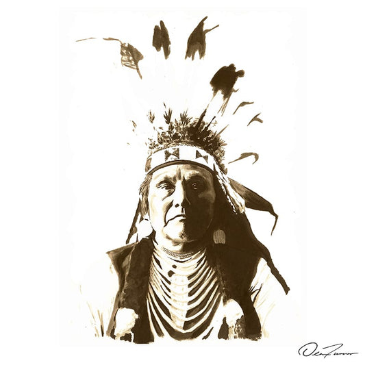 Native American/Indian Chief Joseph