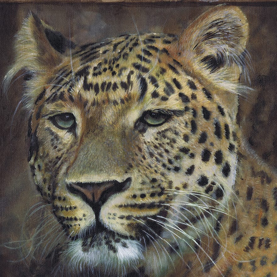 Leopard – Dean Turner Art